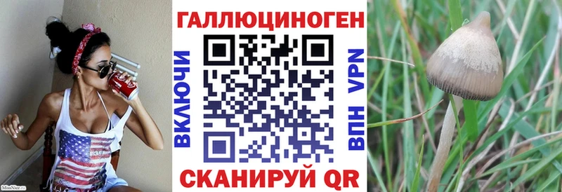 Псилоцибиновые грибы MAGIC MUSHROOMS  Котельнич 